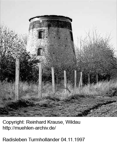 Turmholländer Radisleben, Foto R. Krause